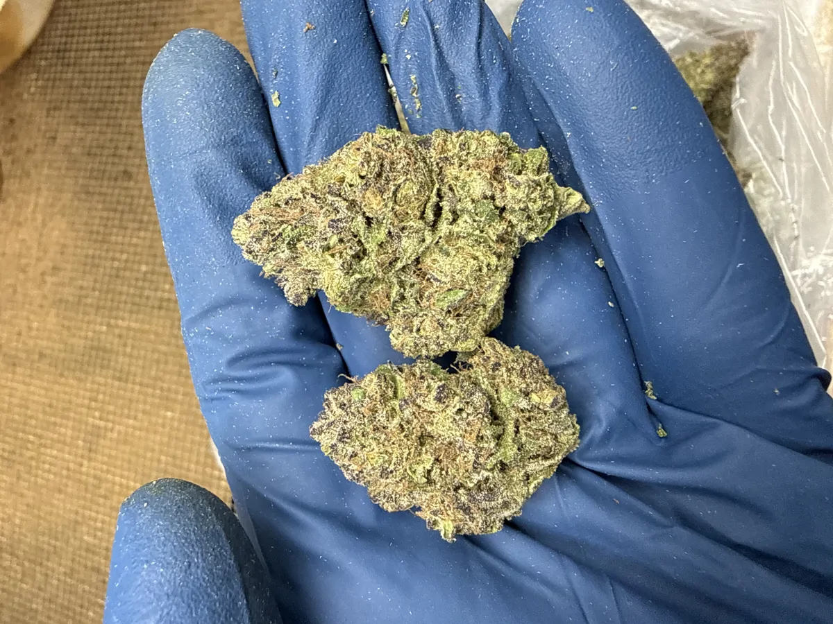 Cherry Runt Flower